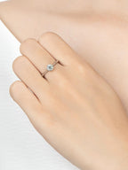 Colore:Argento
