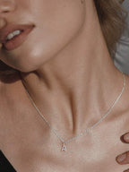 Colore:Argento