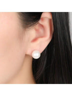 Colore:Argento