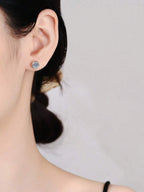 Colore:Argento
